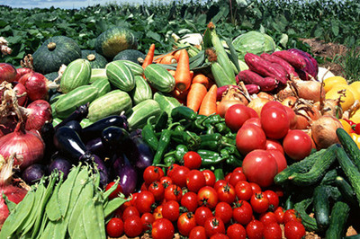 農(nóng)產(chǎn)品市場周報(bào) 供需格局調(diào)整，主要品類價(jià)格普遍小幅回升